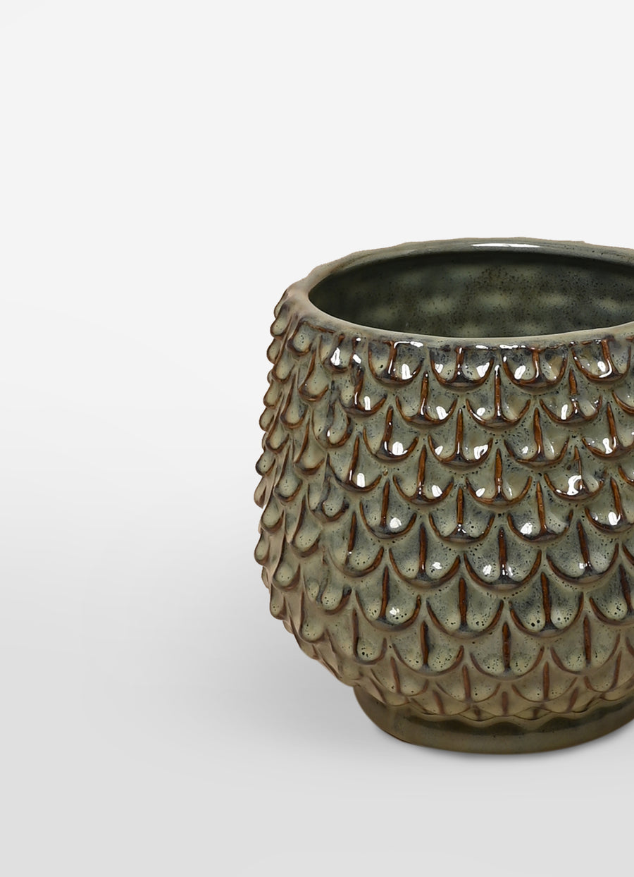 Green Peacock Pot