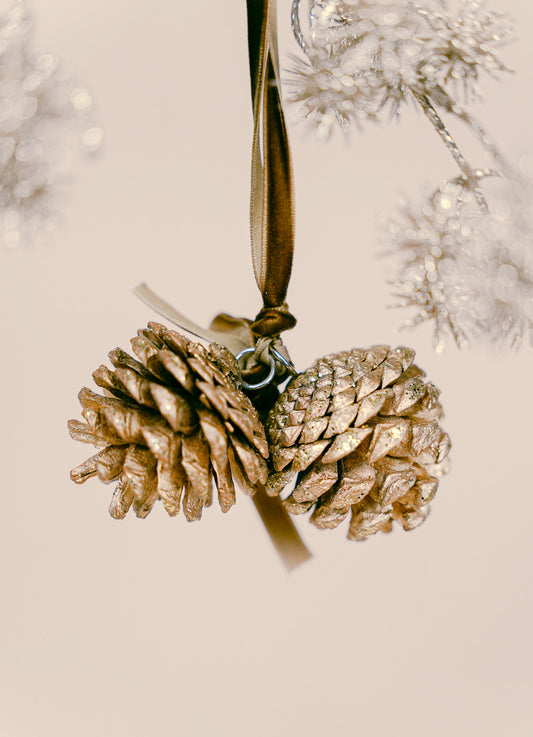 Luxury Pine Cones with Velvet Ribbon