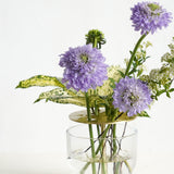 Art in Bloom - Ikebana Vase Small