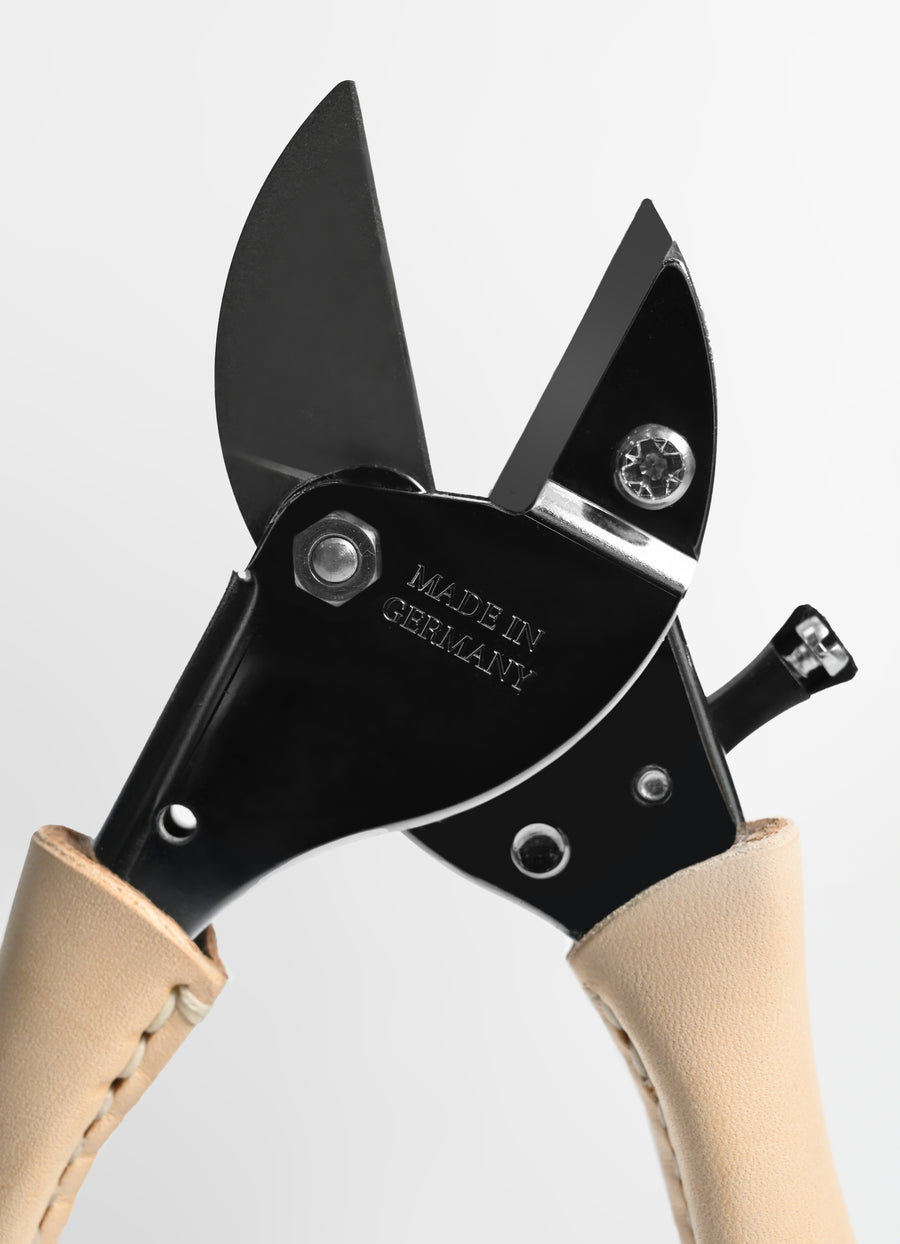 Garden Shears - Sweet Daisy