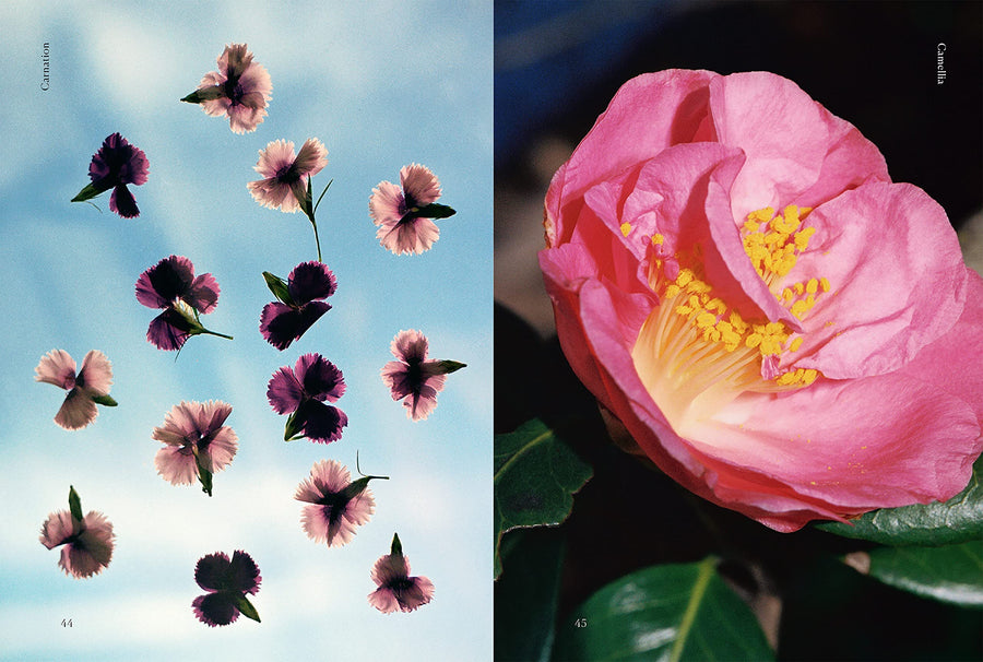 Edible Flowers