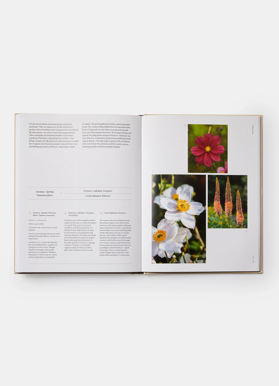 The Seasonal Gardner: Creative Planting Combinations