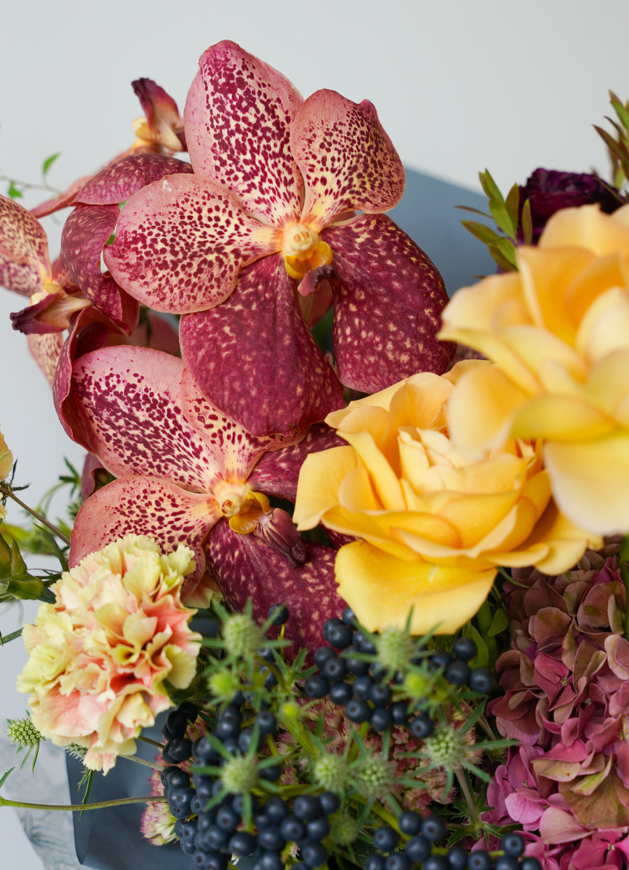 Florist's Choice - Vanda Floraphilia
