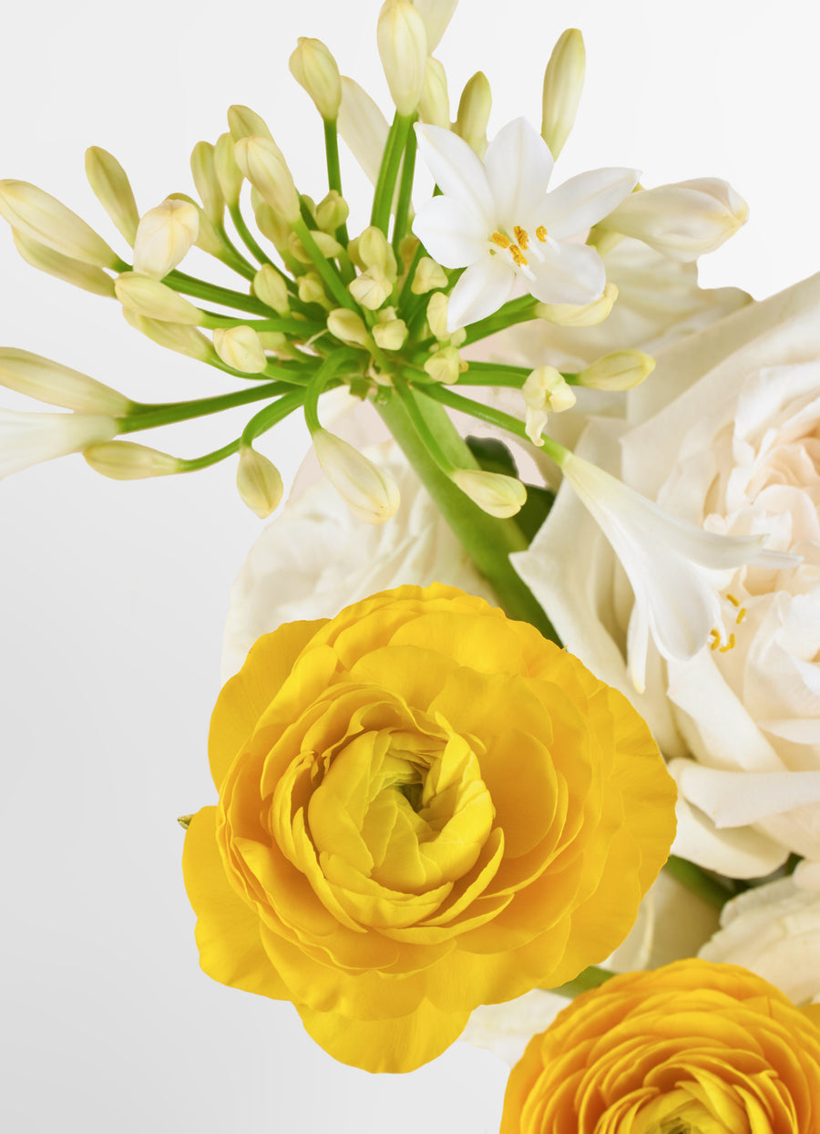 White Delight In A Vase