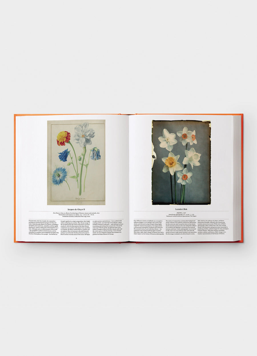 Flower,  Exploring the world in blooms