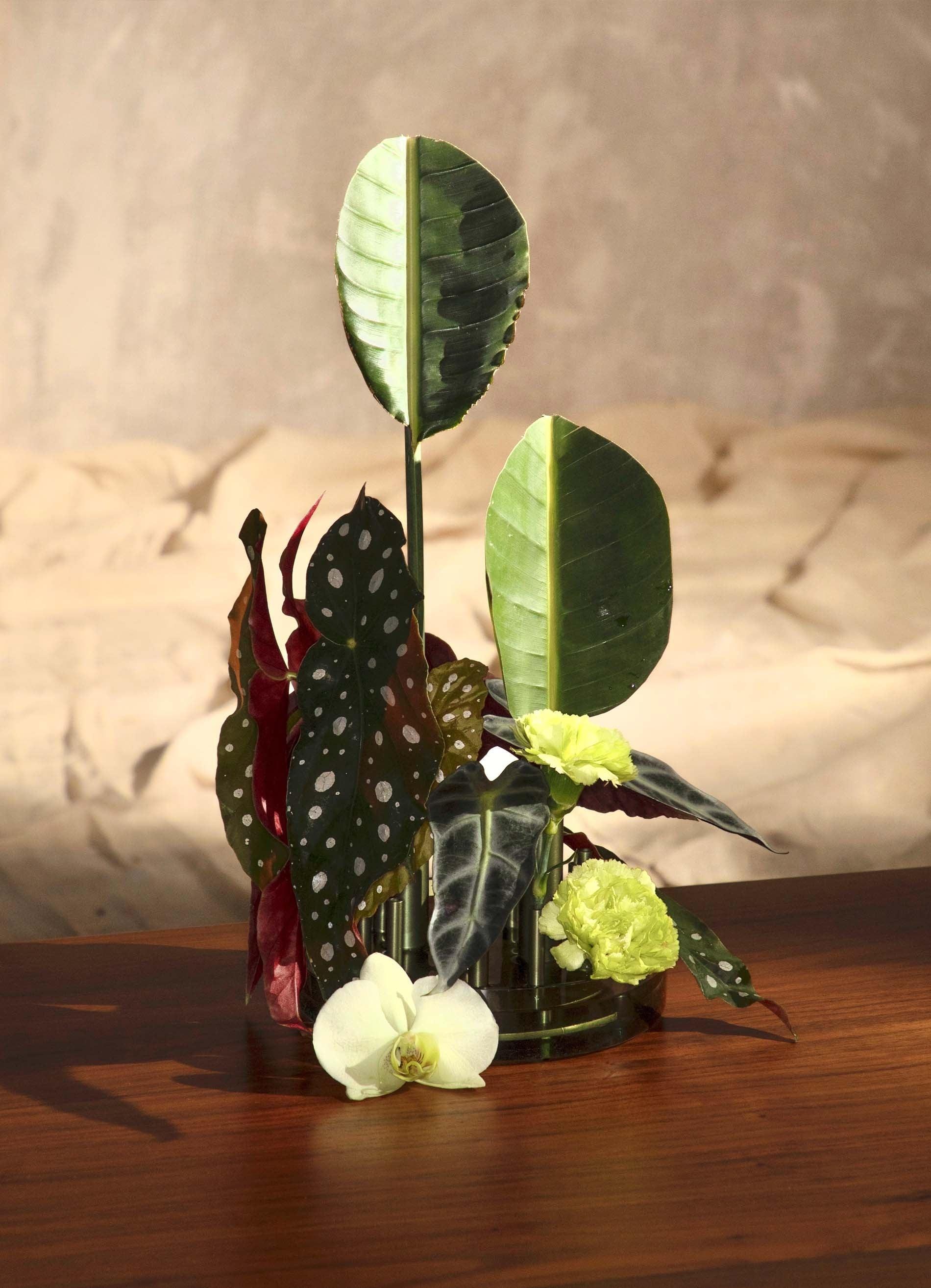 Ikeru Vase - Low - Ellermann Flowers  Vases & Planters  Fritz Hansen 
