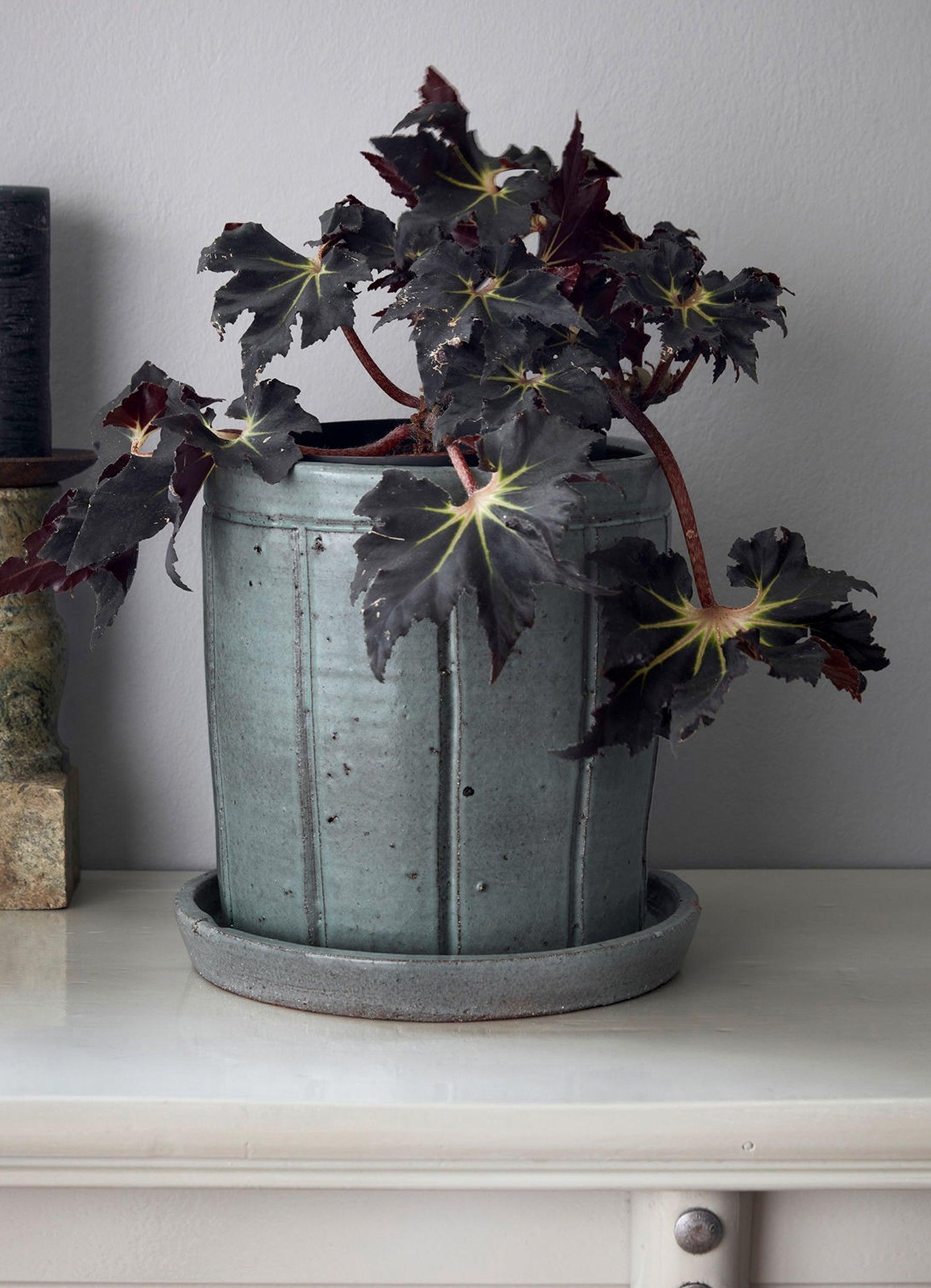 Julian Planter with Saucer - Ellermann Flowers  Vases & Planters  Ellermann Series 